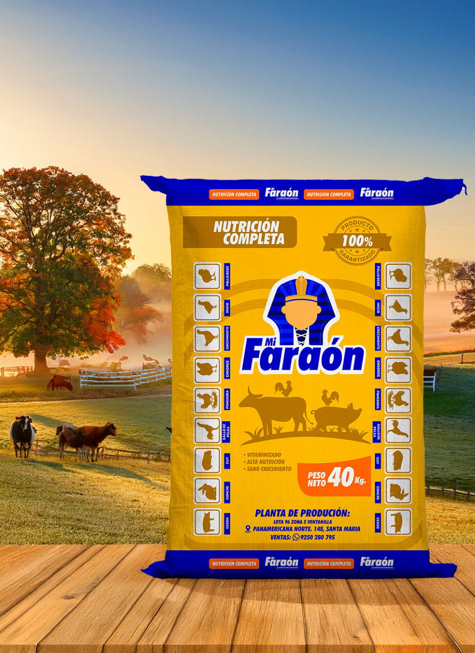 Bolsa Mi Faraon con fondo_v1